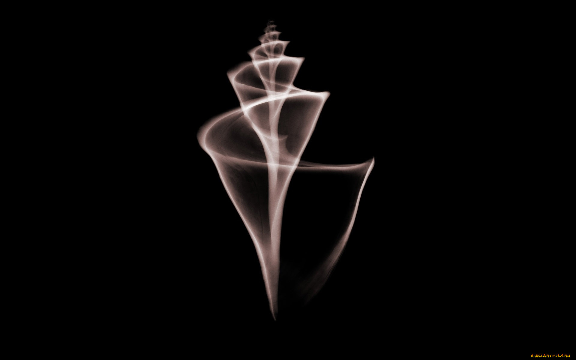 , ,  , , 